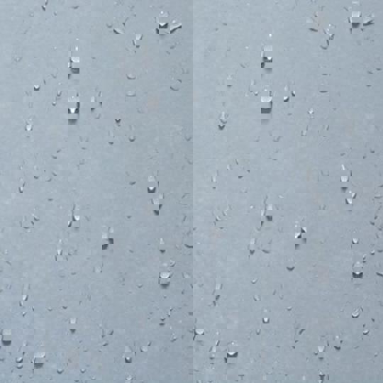 Damp Damp