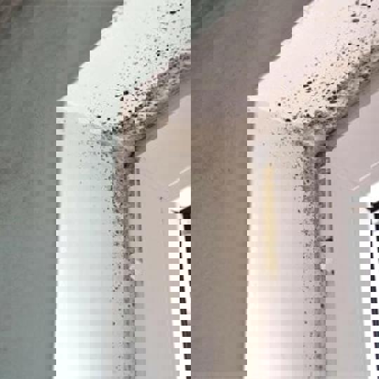 Mould Mould